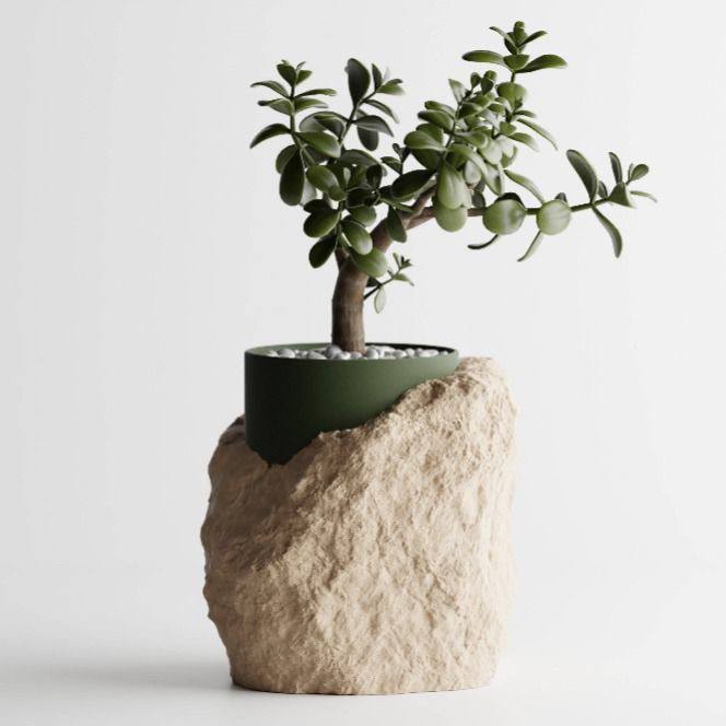 Minimal rock-texture planter with small jade tree