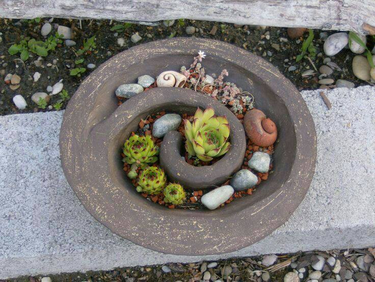 Spiral bowl planter with succulents and stones